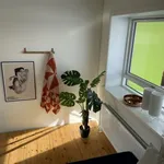 Rent 1 bedroom apartment of 47 m² in Aalborg Øst