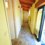 Rent 3 bedroom apartment of 85 m² in Pietrasanta