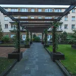 Rent 1 bedroom apartment in dublin