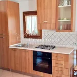 Rent 1 bedroom apartment of 70 m² in Olbia