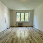 Rent 1 bedroom apartment in Prague