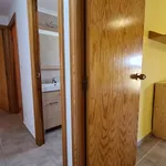 Alquilo 3 dormitorio apartamento de 91 m² en Elx / Elche