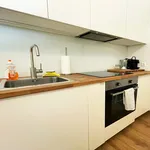 Rent 1 bedroom apartment in Wien