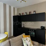 Rent 1 bedroom apartment of 50 m² in Torino