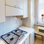 Rent 2 bedroom apartment of 70 m² in Milano