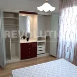 Rent 4 bedroom apartment of 85 m² in Каменица 2