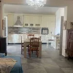 Rent 2 bedroom apartment of 55 m² in Velletri