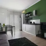 Rent 1 bedroom apartment in milan