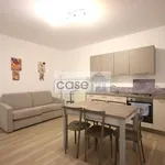 Rent 2 bedroom apartment of 55 m² in Verona