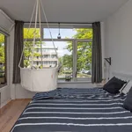 Zwaluwlaan, Bussum - Amsterdam Apartments for Rent