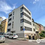 Rent 3 bedroom apartment of 42 m² in Brno