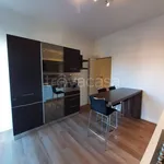 Rent 3 bedroom apartment of 109 m² in Monza