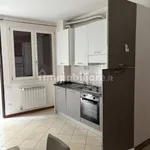 Rent 2 bedroom apartment of 45 m² in Rovigo