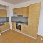 Rent 1 bedroom apartment in Uherské Hradiště