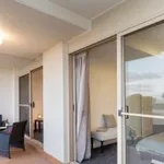 Rent 1 bedroom apartment in Narrabundah