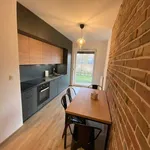 Rent 2 bedroom apartment of 50 m² in Poznan