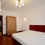 Rent 3 bedroom apartment of 100 m² in Rzeszów