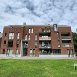 Apartment for rent in Leesthof 15/C2, 3290 Diest