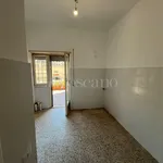 Rent 4 bedroom house of 70 m² in Roma