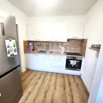 Rent 1 bedroom apartment in Přerov