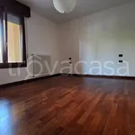 Rent 2 bedroom apartment of 80 m² in Padua