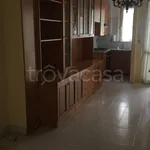 Rent 2 bedroom apartment of 56 m² in Torino