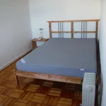 Rent 4 bedroom apartment in Porto