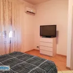 Rent 3 bedroom apartment of 65 m² in La Spezia