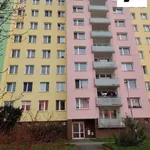 Rent 1 bedroom apartment in Plzeň