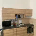 Rent 1 bedroom apartment in Slovensko