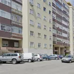 Rent 1 bedroom apartment in Lisbon