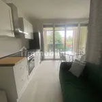 Rent 1 bedroom apartment of 38 m² in Bologna