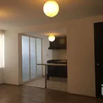 Rent 2 bedroom apartment of 55 m² in Mexico City