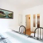 Rent 3 bedroom apartment of 85 m² in madrid