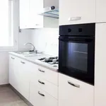 Rent 3 bedroom apartment in Bologna