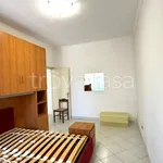 Rent 3 bedroom house of 65 m² in Velletri