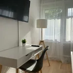 Rent 2 bedroom apartment of 55 m² in Nuremberg