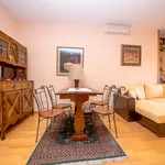 Rent 1 bedroom apartment of 44 m² in Zagreb