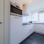 Rent 4 bedroom apartment of 100 m² in Stadshart