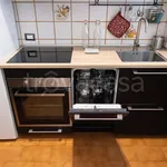 Rent 1 bedroom apartment of 47 m² in Milano