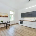 Rent 2 bedroom apartment of 50 m² in Praha 10 - Vinohrady