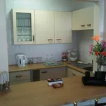 Rent 1 bedroom apartment in Port Elizabeth