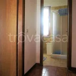 Rent 3 bedroom apartment of 60 m² in Massa