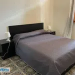 Affitto 4 camera casa di 250 m² in Tarquinia