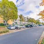 Rent 3 bedroom apartment of 74 m² in Braunschweig