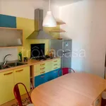 Rent 3 bedroom apartment of 70 m² in Cremona