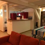 Rent 2 bedroom apartment of 125 m² in Prague