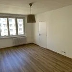 Rent 2 bedroom apartment in Karlovy Vary