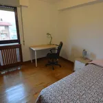 Rent 4 bedroom apartment in Bilbao