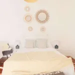 Rent 1 bedroom apartment in malaga